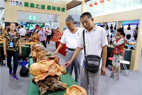 918博天堂·(中国)唯一官方网站