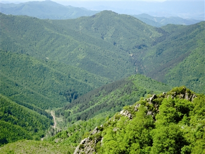 918á(й)Ψһٷվ